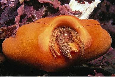 《勇者斗恶龙3：HD-2D重制版》实机演示新预告 11月14日发售